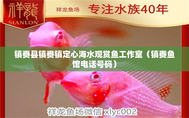 鎮(zhèn)賚縣鎮(zhèn)賚鎮(zhèn)定心海水觀賞魚工作室（鎮(zhèn)賚魚館電話號碼）