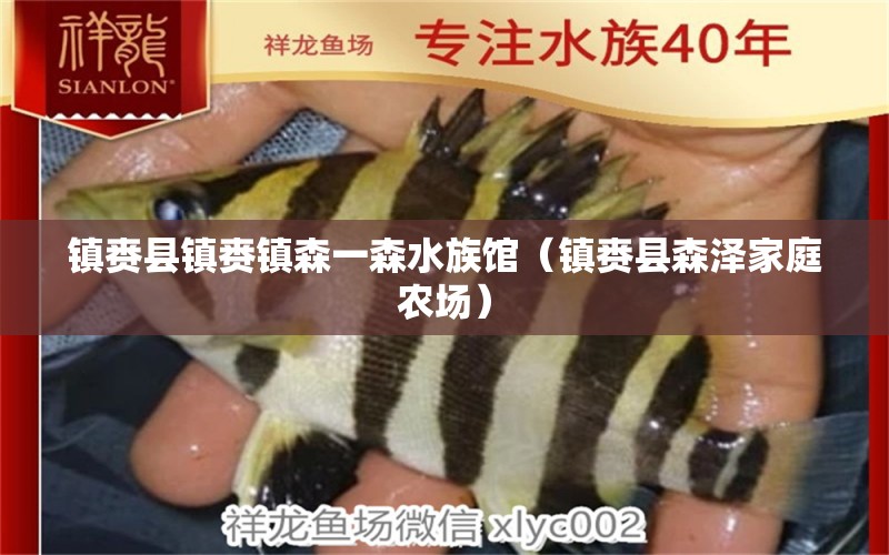 鎮(zhèn)賚縣鎮(zhèn)賚鎮(zhèn)森一森水族館（鎮(zhèn)賚縣森澤家庭農(nóng)場） 全國水族館企業(yè)名錄