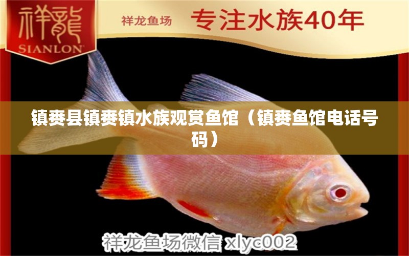 鎮(zhèn)賚縣鎮(zhèn)賚鎮(zhèn)水族觀賞魚館（鎮(zhèn)賚魚館電話號碼）