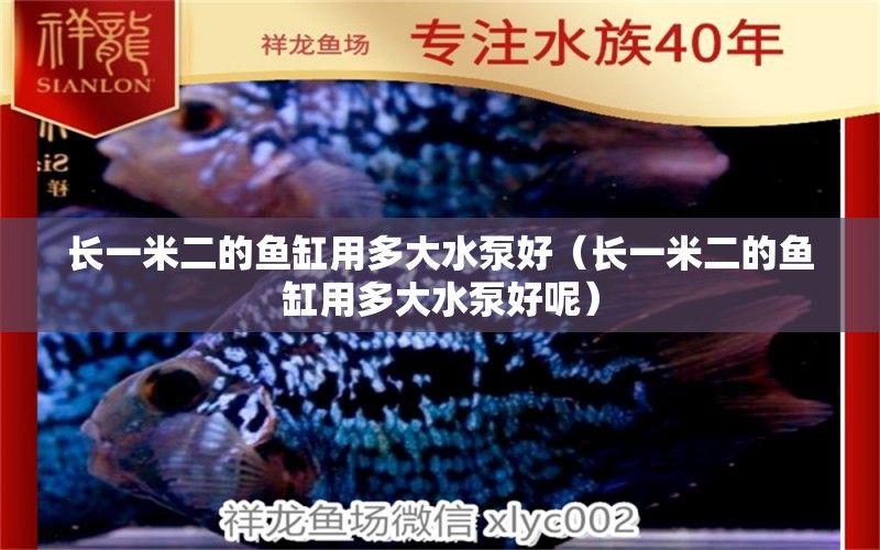 長(zhǎng)一米二的魚缸用多大水泵好（長(zhǎng)一米二的魚缸用多大水泵好呢） 其他品牌魚缸