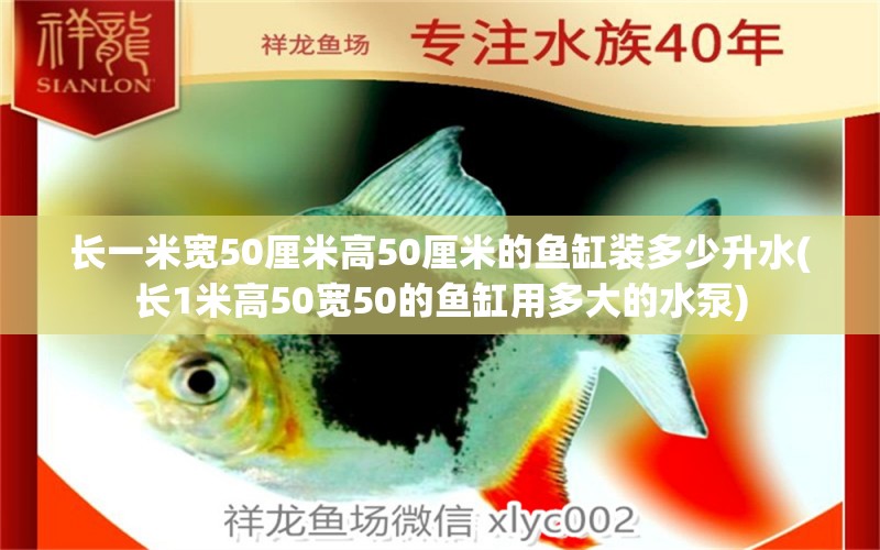 長一米寬50厘米高50厘米的魚缸裝多少升水(長1米高50寬50的魚缸用多大的水泵) 斑馬鴨嘴魚