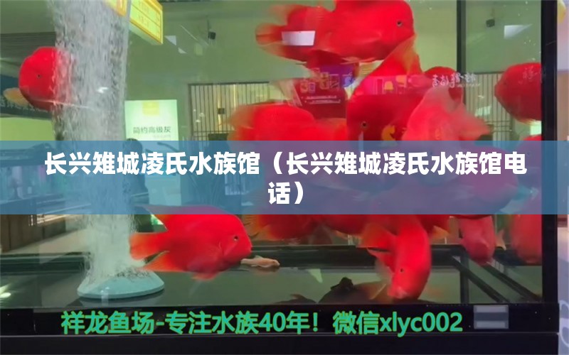 長興雉城凌氏水族館（長興雉城凌氏水族館電話） 全國水族館企業(yè)名錄