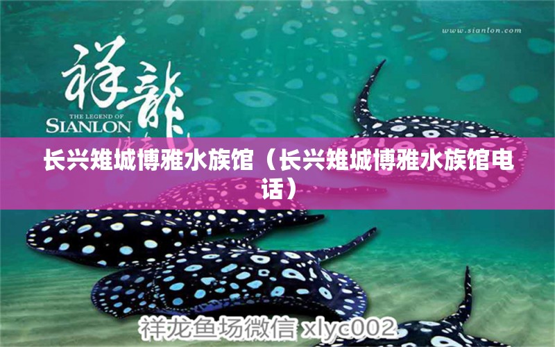 長興雉城博雅水族館（長興雉城博雅水族館電話）