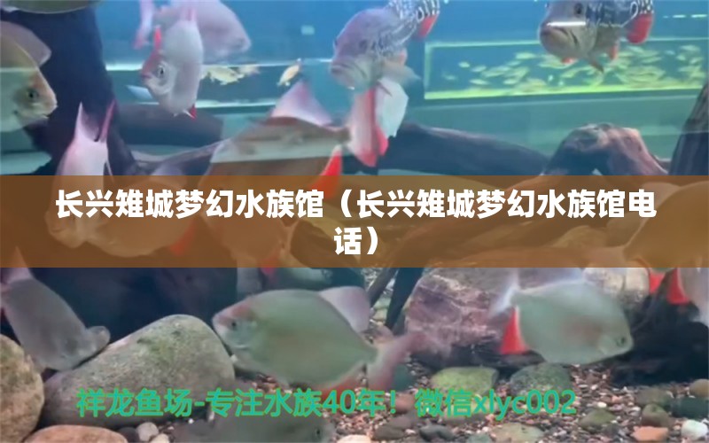 長(zhǎng)興雉城夢(mèng)幻水族館（長(zhǎng)興雉城夢(mèng)幻水族館電話） 全國(guó)水族館企業(yè)名錄