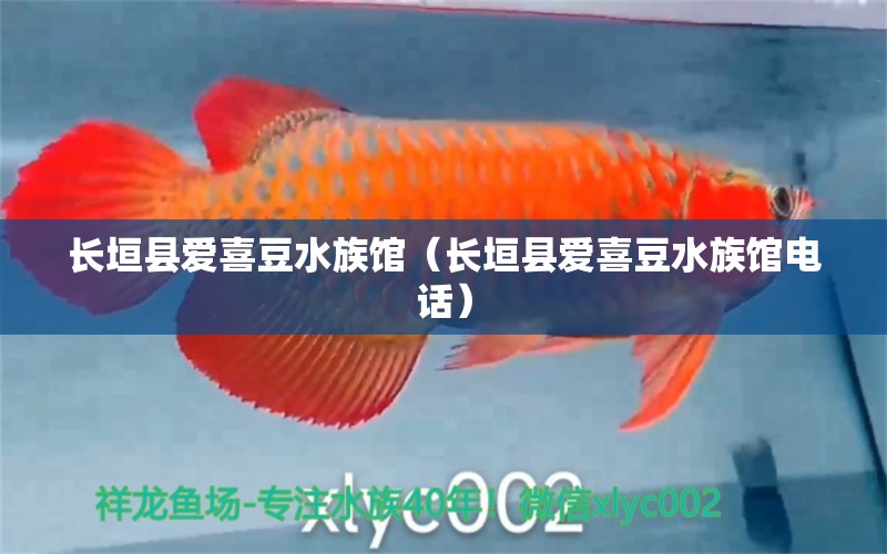 長垣縣愛喜豆水族館（長垣縣愛喜豆水族館電話） 全國水族館企業(yè)名錄