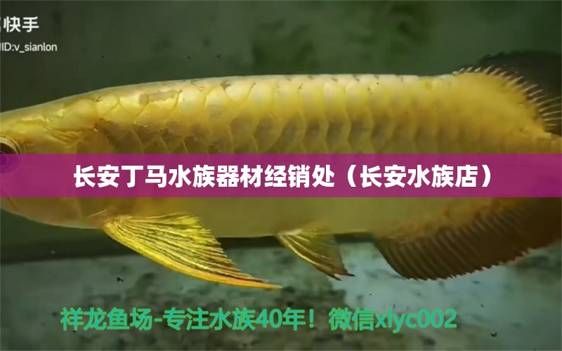 長(zhǎng)安丁馬水族器材經(jīng)銷處（長(zhǎng)安水族店）