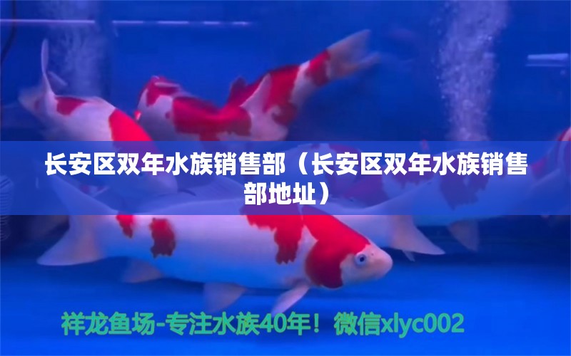 長(zhǎng)安區(qū)雙年水族銷售部（長(zhǎng)安區(qū)雙年水族銷售部地址） 全國(guó)水族館企業(yè)名錄