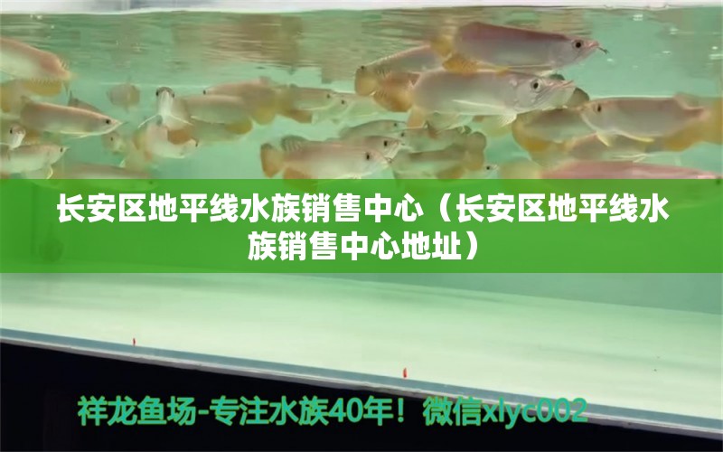 長安區(qū)地平線水族銷售中心（長安區(qū)地平線水族銷售中心地址） 全國水族館企業(yè)名錄