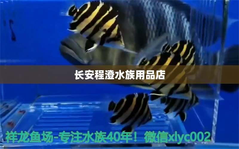 長(zhǎng)安程澄水族用品店 水族用品