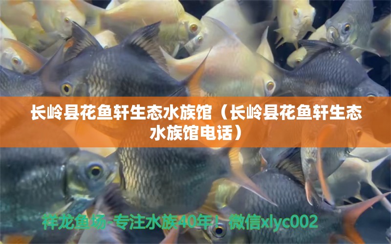 長嶺縣花魚軒生態(tài)水族館（長嶺縣花魚軒生態(tài)水族館電話） 全國水族館企業(yè)名錄