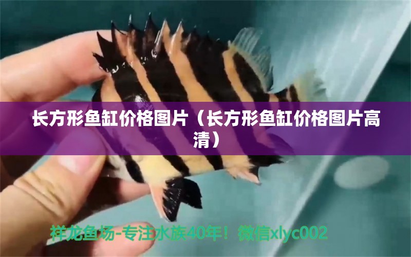 長方形魚缸價格圖片（長方形魚缸價格圖片高清） 廣州觀賞魚批發(fā)市場