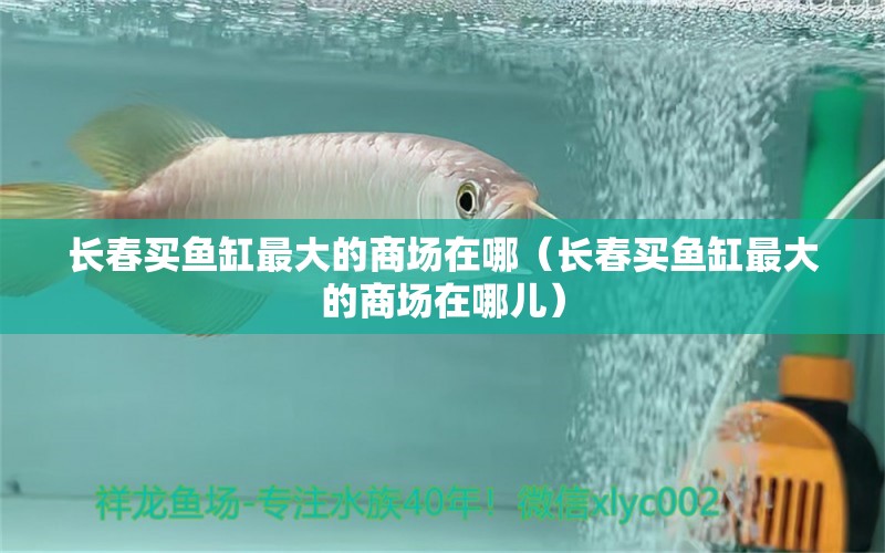 長春買魚缸最大的商場在哪（長春買魚缸最大的商場在哪兒） 其他品牌魚缸