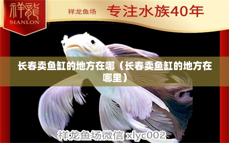 長春賣魚缸的地方在哪（長春賣魚缸的地方在哪里） 其他品牌魚缸