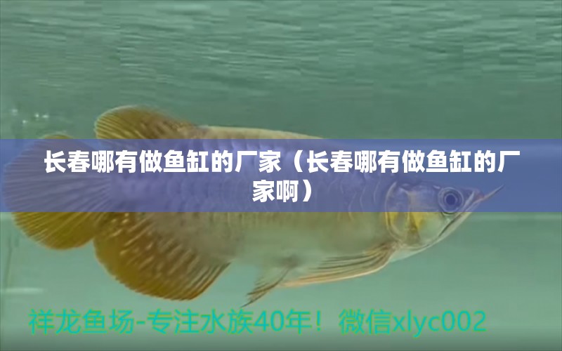 長春哪有做魚缸的廠家（長春哪有做魚缸的廠家?。?其他品牌魚缸