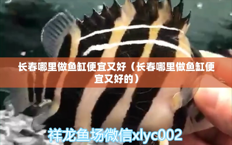 長春哪里做魚缸便宜又好（長春哪里做魚缸便宜又好的）