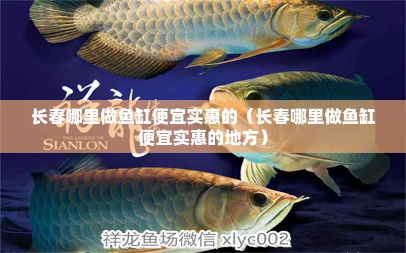 長(zhǎng)春哪里做魚缸便宜實(shí)惠的（長(zhǎng)春哪里做魚缸便宜實(shí)惠的地方） 祥龍水族醫(yī)院