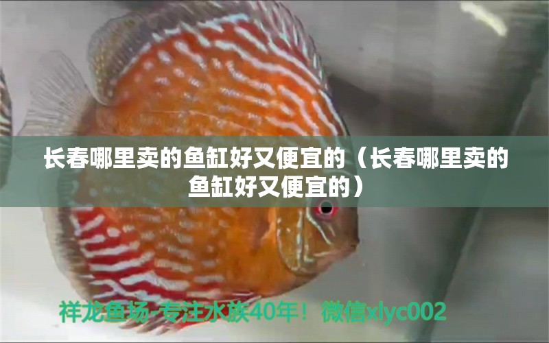 長春哪里賣的魚缸好又便宜的（長春哪里賣的魚缸好又便宜的） 其他品牌魚缸