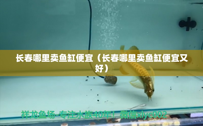 長(zhǎng)春哪里賣魚缸便宜（長(zhǎng)春哪里賣魚缸便宜又好）