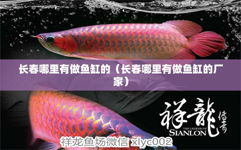 長春哪里有做魚缸的（長春哪里有做魚缸的廠家） 其他品牌魚缸