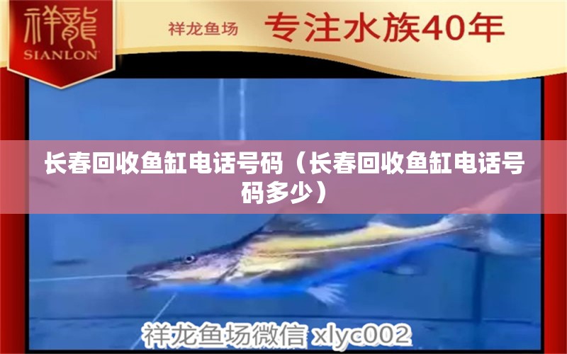 長春回收魚缸電話號碼（長春回收魚缸電話號碼多少） 祥龍水族醫(yī)院