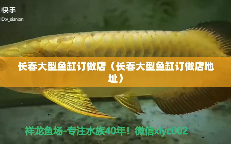 長春大型魚缸訂做店（長春大型魚缸訂做店地址）