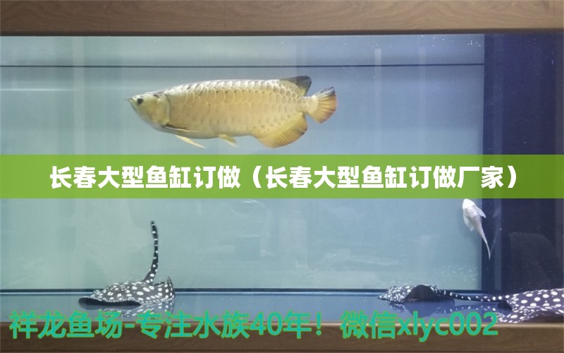 長春大型魚缸訂做（長春大型魚缸訂做廠家）