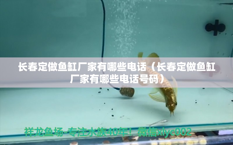 長春定做魚缸廠家有哪些電話（長春定做魚缸廠家有哪些電話號碼） 其他品牌魚缸