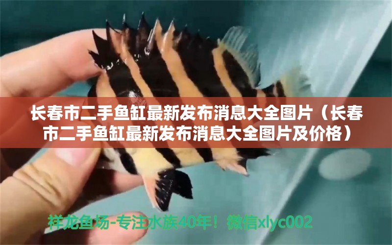 長春市二手魚缸最新發(fā)布消息大全圖片（長春市二手魚缸最新發(fā)布消息大全圖片及價格） 觀賞魚市場（混養(yǎng)魚）