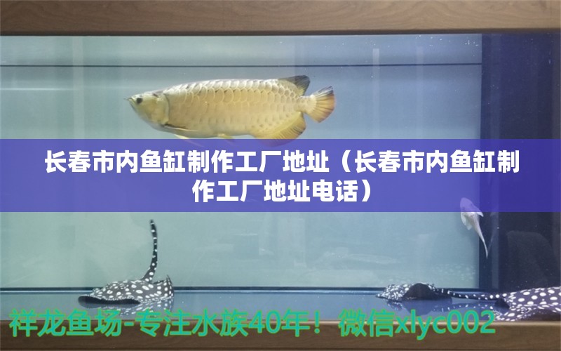 長春市內(nèi)魚缸制作工廠地址（長春市內(nèi)魚缸制作工廠地址電話）