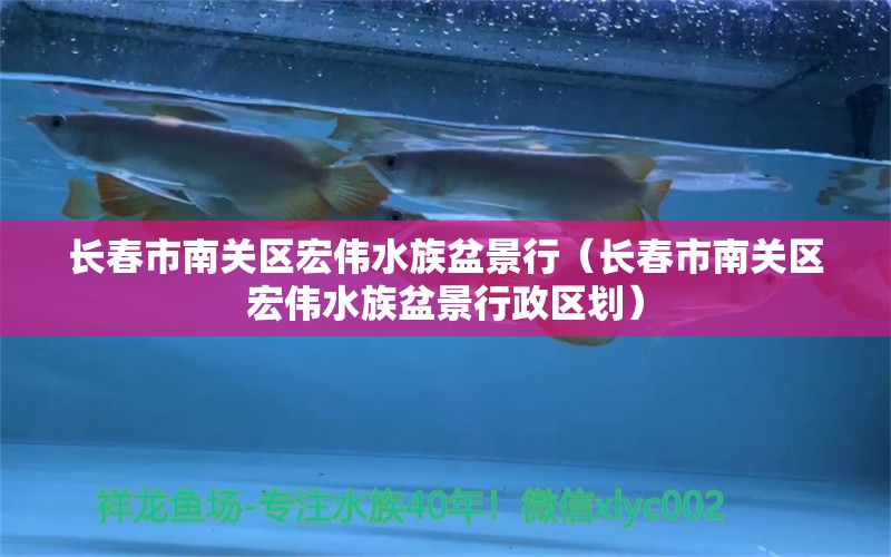 長春市南關區(qū)宏偉水族盆景行（長春市南關區(qū)宏偉水族盆景行政區(qū)劃）