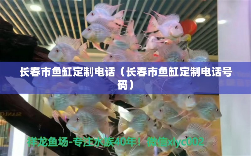 長春市魚缸定制電話（長春市魚缸定制電話號碼） 其他品牌魚缸