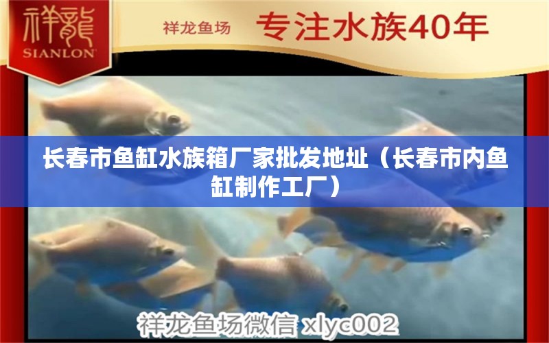 長春市魚缸水族箱廠家批發(fā)地址（長春市內(nèi)魚缸制作工廠）