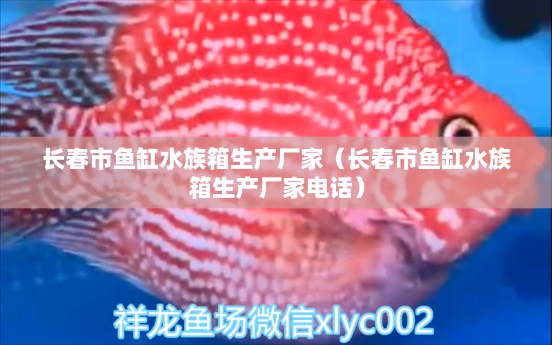 長春市魚缸水族箱生產(chǎn)廠家（長春市魚缸水族箱生產(chǎn)廠家電話） 魚缸/水族箱