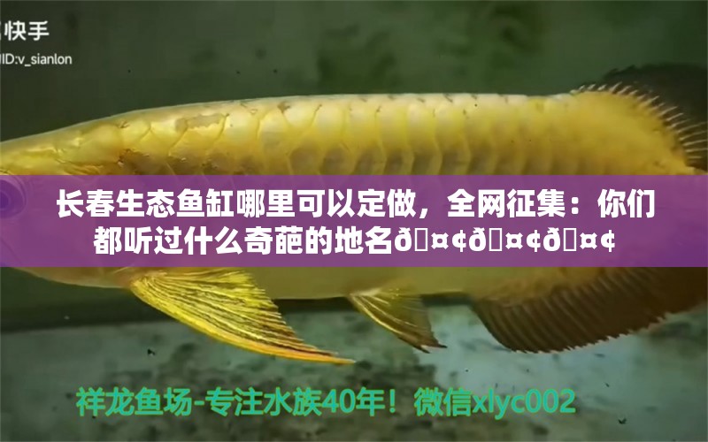 長春生態(tài)魚缸哪里可以定做，全網(wǎng)征集：你們都聽過什么奇葩的地名??????