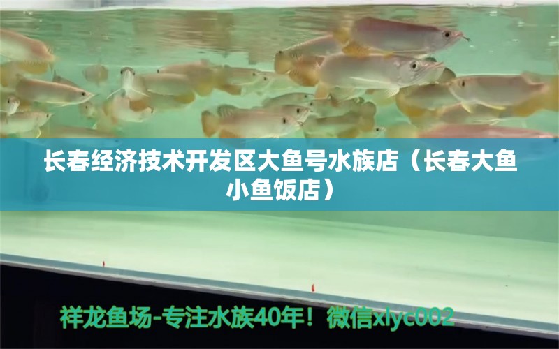 長春經濟技術開發(fā)區(qū)大魚號水族店（長春大魚小魚飯店） 全國水族館企業(yè)名錄