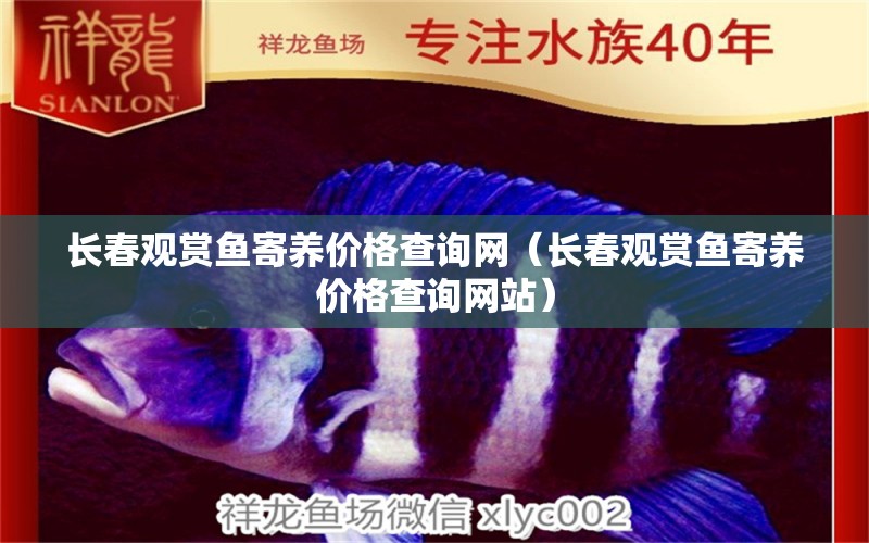 長春觀賞魚寄養(yǎng)價(jià)格查詢網(wǎng)（長春觀賞魚寄養(yǎng)價(jià)格查詢網(wǎng)站） 泗水龍魚