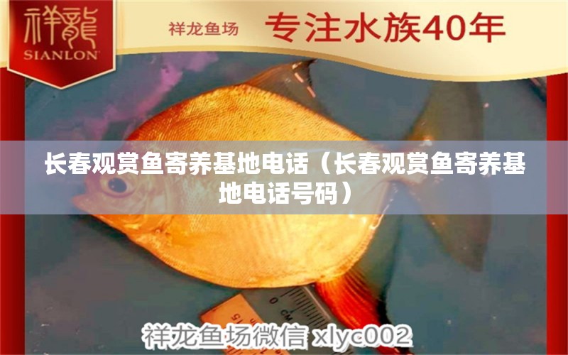 長春觀賞魚寄養(yǎng)基地電話（長春觀賞魚寄養(yǎng)基地電話號碼）