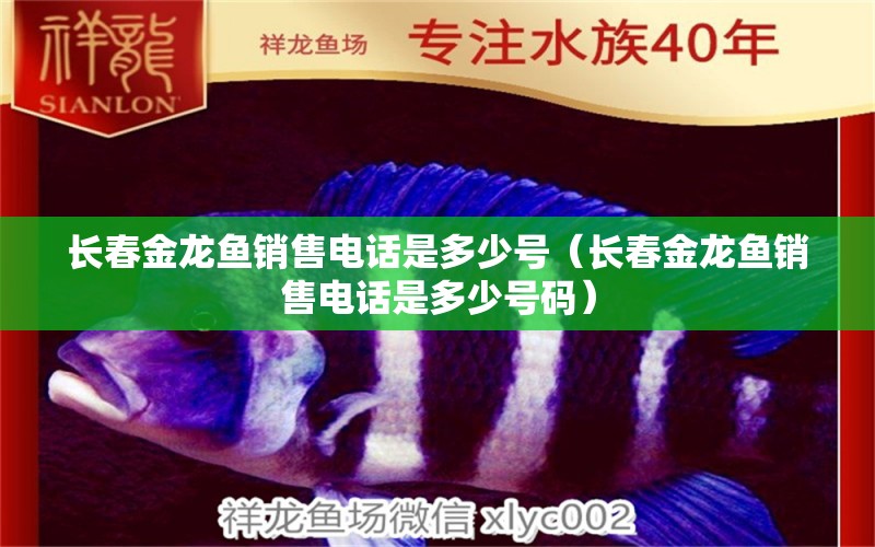 長春金龍魚銷售電話是多少號（長春金龍魚銷售電話是多少號碼）