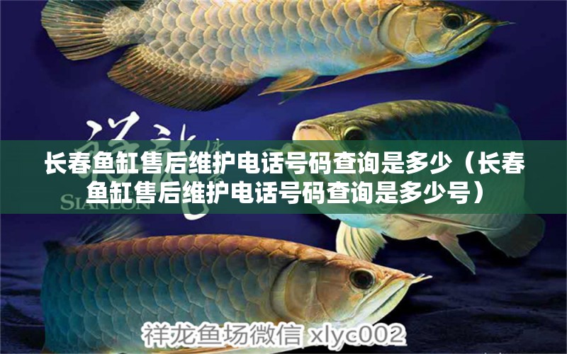 長春魚缸售后維護(hù)電話號(hào)碼查詢是多少（長春魚缸售后維護(hù)電話號(hào)碼查詢是多少號(hào)）