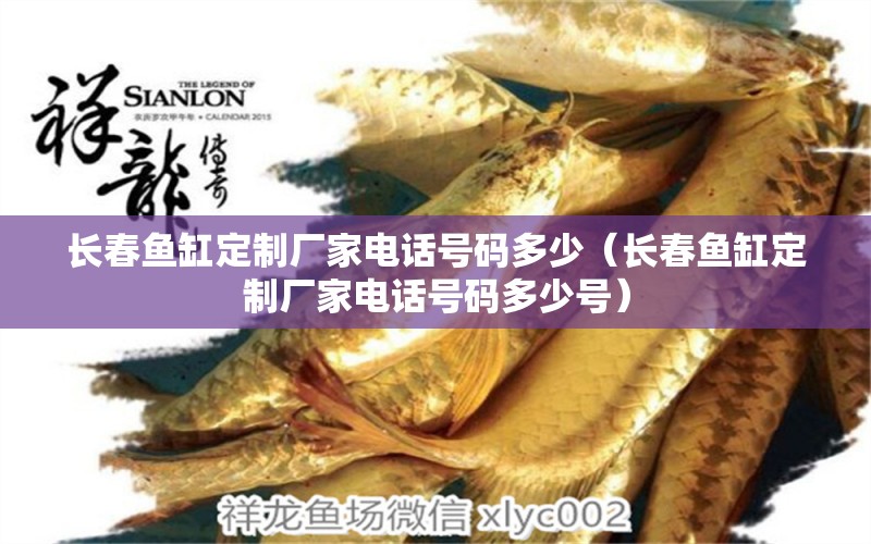 長(zhǎng)春魚(yú)缸定制廠家電話號(hào)碼多少（長(zhǎng)春魚(yú)缸定制廠家電話號(hào)碼多少號(hào)） 觀賞魚(yú)市場(chǎng)（混養(yǎng)魚(yú)）