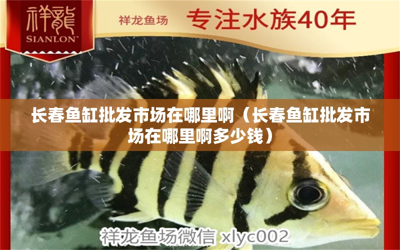 長(zhǎng)春魚缸批發(fā)市場(chǎng)在哪里?。ㄩL(zhǎng)春魚缸批發(fā)市場(chǎng)在哪里啊多少錢）