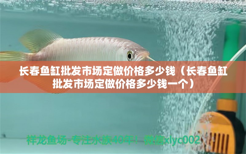 長春魚缸批發(fā)市場定做價格多少錢（長春魚缸批發(fā)市場定做價格多少錢一個） 祥龍水族醫(yī)院