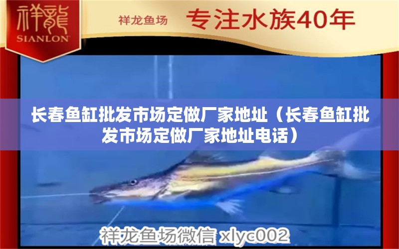 長春魚缸批發(fā)市場定做廠家地址（長春魚缸批發(fā)市場定做廠家地址電話）