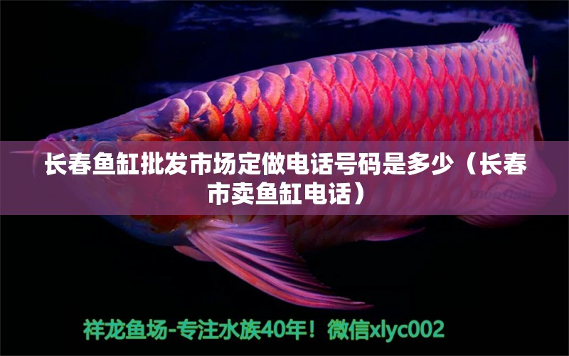 長春魚缸批發(fā)市場定做電話號碼是多少（長春市賣魚缸電話）