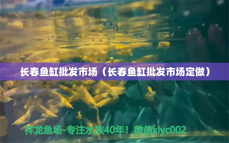 長(zhǎng)春魚缸批發(fā)市場(chǎng)（長(zhǎng)春魚缸批發(fā)市場(chǎng)定做）