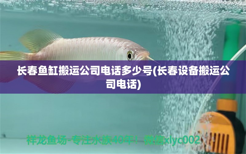 長(zhǎng)春魚(yú)缸搬運(yùn)公司電話多少號(hào)(長(zhǎng)春設(shè)備搬運(yùn)公司電話) 白子關(guān)刀魚(yú)