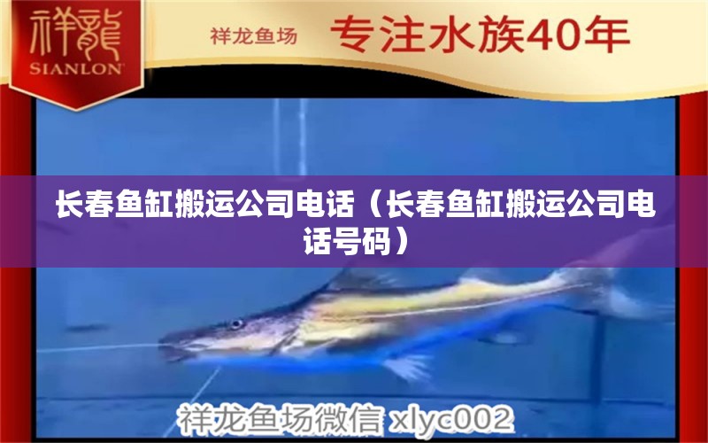 長春魚缸搬運公司電話（長春魚缸搬運公司電話號碼） 其他品牌魚缸