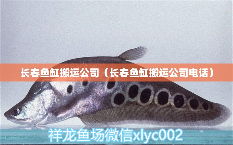 長(zhǎng)春魚(yú)缸搬運(yùn)公司（長(zhǎng)春魚(yú)缸搬運(yùn)公司電話）