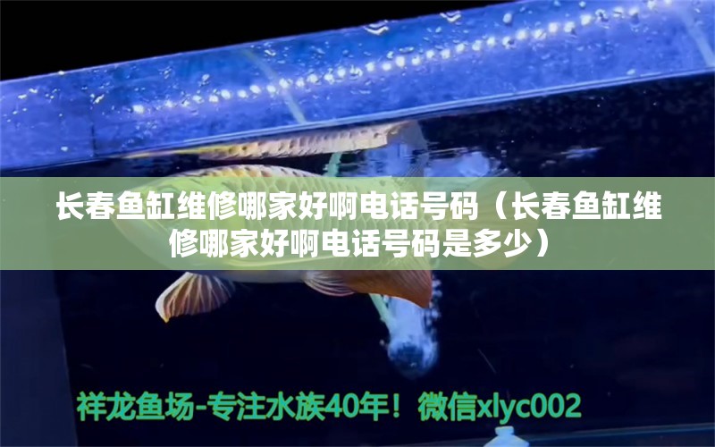 長春魚缸維修哪家好啊電話號碼（長春魚缸維修哪家好啊電話號碼是多少） 過背金龍魚