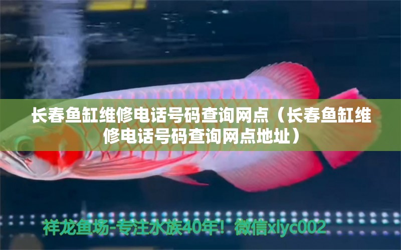 長春魚缸維修電話號碼查詢網(wǎng)點（長春魚缸維修電話號碼查詢網(wǎng)點地址） 觀賞魚市場（混養(yǎng)魚）